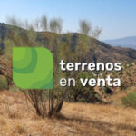 Plot with Ruin for Sale in Estacion de Cartama