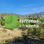 Terreno con Ruina en Venta en Tolox